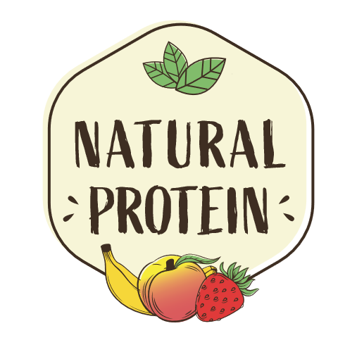NaturalProtein - logo